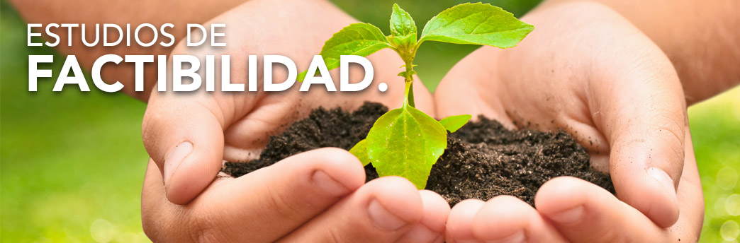 Estudios de Factibilidad.